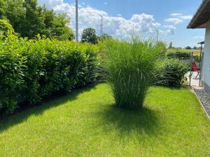 Babóca Apartman - Siófok-Sóstó