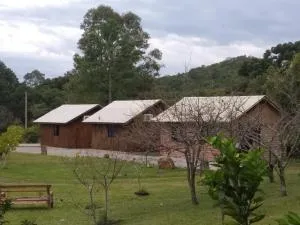 Encosta Dos Pinheiros - Sander