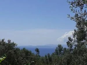 Daphnes Apartments - Ratzaklíon