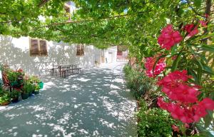 Holiday House with Seaview