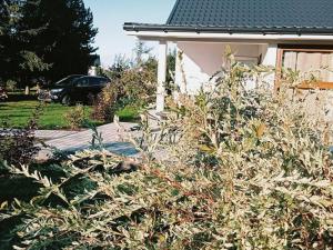 Newly built holiday home for nature lovers in Kolczewo