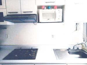 Apartamento Completo 2BR y 2Baño una cuadra de reforma y zona Rosa