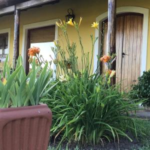 Concordia, Argentina