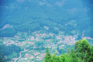 Misty Mountains Holiday Homes