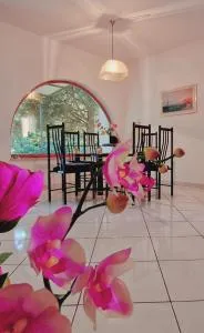 SWIM and CLIMB BAŠKA HOLIDAY HOUSE - island KRK - Draga