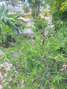 Aathiras 2 Bedroom house @ Heart of Coimbatore