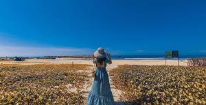 Jacks Home - Ocean Vista Condotel Sealink Mui Ne