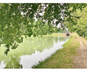 Appartements Le cosy studio du canal. : photos des chambres