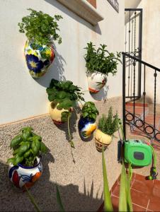 021 Casa Cálida - Orihuela Costa