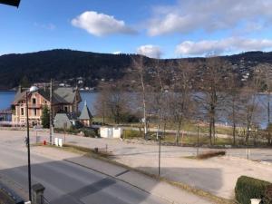 LAubépine au bord du lac vue directe sur le lac ,Borne E à 20m