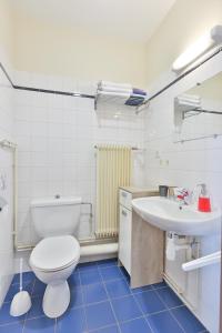 Maisons d'hotes Ancien Presbytere Albert Schweitzer : Chambre Double
