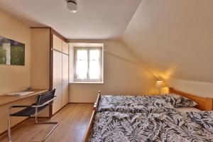 Maisons d'hotes Ancien Presbytere Albert Schweitzer : Chambre Double Standard