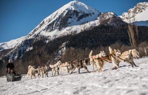 Chalets Chalet Lumiere - LaGodille Prestige - 16 personnes - Pra Loup : photos des chambres