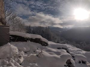 Maisons de vacances Superbe gite Laugy dans les montagnes d'Ambert : photos des chambres