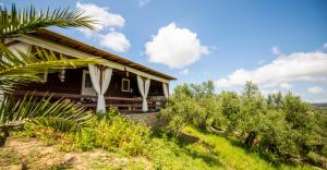 Hakuna Matata Holidays wooden lodge with airco & pool in Greek Olive Grove