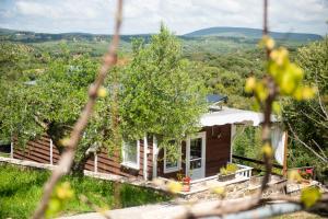 Hakuna Matata Holidays wooden lodge with airco & pool in Greek Olive Grove