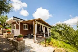 Hakuna Matata Holidays wooden lodge with airco & pool in Greek Olive Grove - Methoni