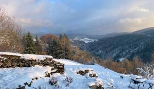 Maisons de vacances Superbe gite Laugy dans les montagnes d'Ambert : Maison 2 Chambres