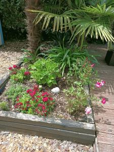 Joli Appartement Audenge