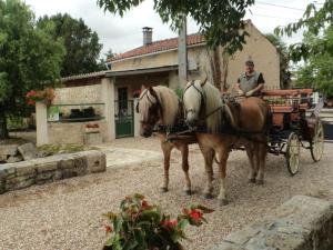 Maisons de vacances Gite Saint-Sulpice-de-Cognac, 3 pieces, 4 personnes - FR-1-653-221 : photos des chambres