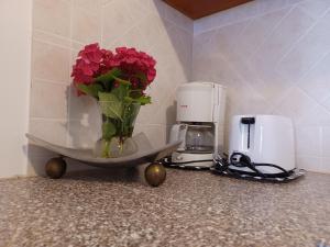 Ryanairs 2026 Family Choice Zadar