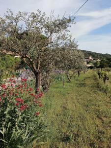 Maisons de vacances Gite les vignes avec piscine proche du Ventoux : photos des chambres