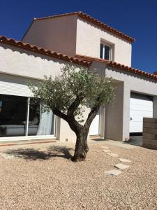 Maisons de vacances Maison familiale avec piscine a 3km de la plage : photos des chambres