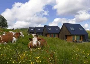 Bystre DOMKI 2 - Nowe Bystre