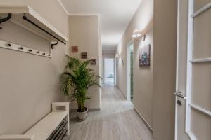 Bacicagiuba Apartments