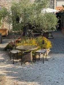 Céline et Olivier - 普雷法艾伊