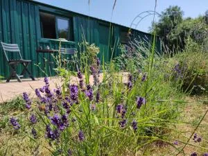 Gîte insolite La Renouée - Rou-Marson