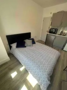 Cosy studio flat In teddington - 泰丁敦