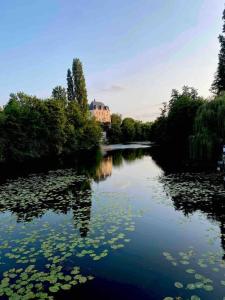 Appartements Les rives de l’Indre. Parking gratuit. Lit 160CM : photos des chambres