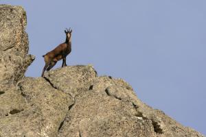 Villages vacances VVF Pyrenees Canigou : photos des chambres