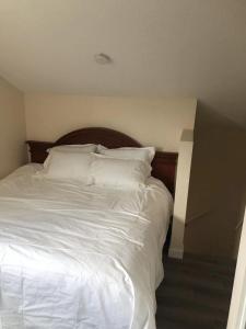 unit #302 Mountain view 2 beds in DT