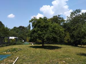 Sejours chez l'habitant Chambre dans maison de campagne : Chambre Double avec Salle de Bains Privative