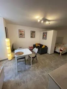 Studio RdC parking privé gratuit - 杜埃拉丰坦