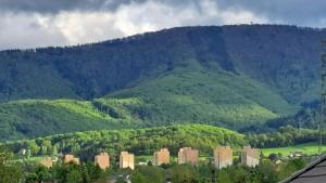 Apartamenty Bujaki Ustroń