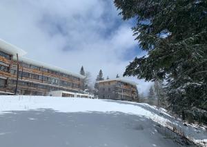 Appartements L-ecrin du Bachat Chamrousse : photos des chambres