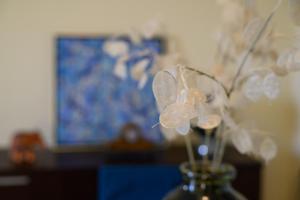 Nisos Sunset Apartments Agios Gordios