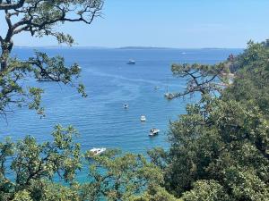 The Beach House, Theoule sur mer, Cote dAzur, France