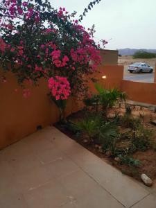 A wonderful stay at the Dead Sea