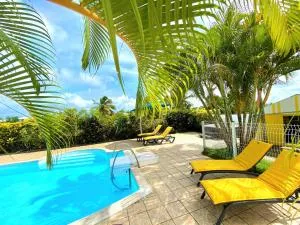 Les Orchidées de Sainte-Anne - Lamotte