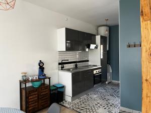 Appartements La petite Boutique Bleue : photos des chambres