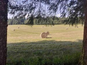 Maisons de vacances Le hameau de Donnedevie : photos des chambres