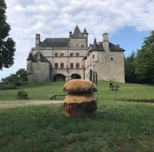 Maisons de vacances Le hameau de Donnedevie : photos des chambres