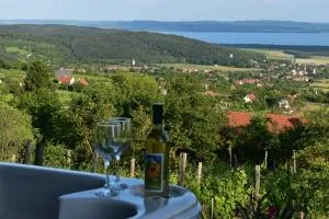 Panoráma Borbirtok - Mencshely