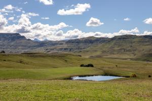 Ripon Country Cottage