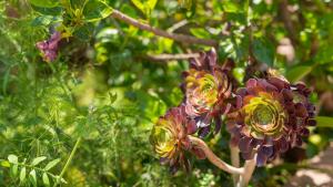 Riflessi sul mare img18