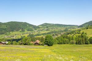 Appartements Eco-gite Dans Chalet Neuf Au Pied : Appartement